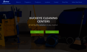 Buckeyecleaningcenters.com thumbnail