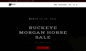 Buckeyemorganhorsesale.net thumbnail