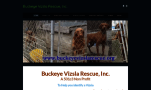 Buckeyevizslarescue.org thumbnail