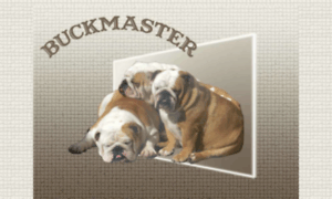 Buckmaster.es thumbnail
