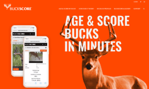 Buckscore.com thumbnail