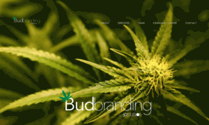 Budbranding.3dstudios.net thumbnail