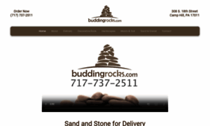 Buddingrocks.com thumbnail