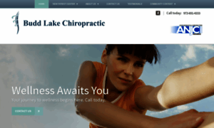 Buddlakechiropractic.com thumbnail