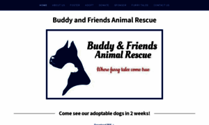 Buddyandfriendsma.org thumbnail