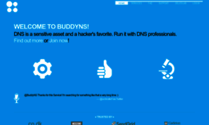 Buddyns.com thumbnail
