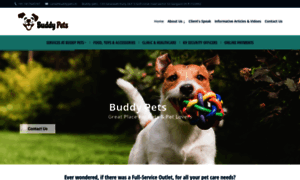 Buddypets.co.in thumbnail