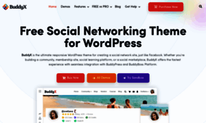 Buddyxtheme.com thumbnail