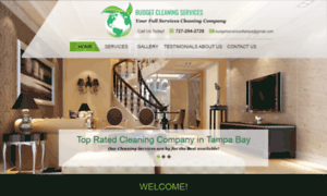 Budgetcleaningservicesfl.com thumbnail