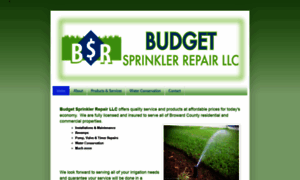 Budgetsprinklerrepair.com thumbnail
