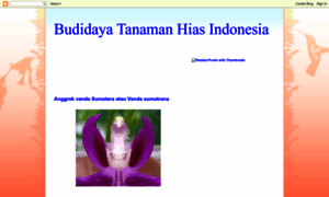 Budidayatanamanhias.blogspot.com thumbnail