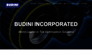 Budiniincorporated.com thumbnail