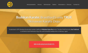 Budokankaratebrantford.com thumbnail