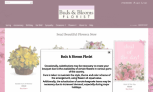 Budsandbloomsflorist.net thumbnail