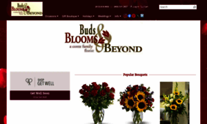 Budsbloomsandbeyond.com thumbnail