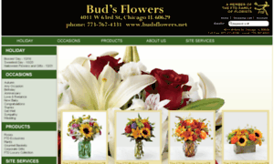 Budsflowers.net thumbnail