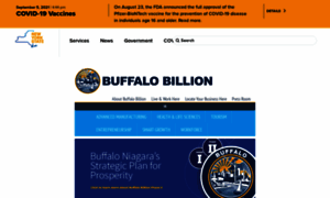 Buffalobillion.ny.gov thumbnail
