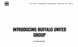 Buffalounitedgroup.com thumbnail