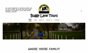 Buggylanetours.com thumbnail