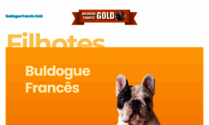 Buldoguefrancesgold.com.br thumbnail