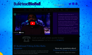 Bulkheadbioball.com thumbnail