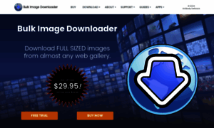 Bulkimagedownloader.com thumbnail