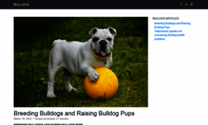 Bulldogdvm.com thumbnail
