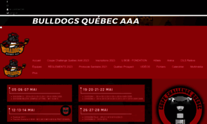 Bulldogshockeyaaa.com thumbnail