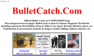 Bulletcatch.com thumbnail