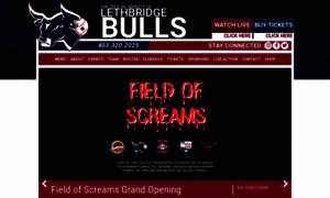 Bullsbaseball.com thumbnail