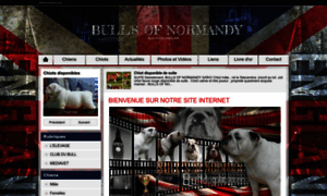 Bullsofnormandy.chiens-de-france.com thumbnail