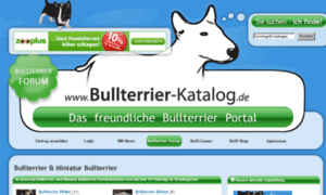 Bullterrier-katalog.de thumbnail