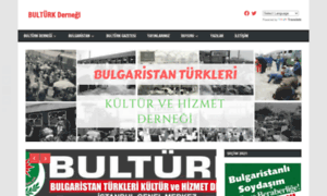 Bulturk.org thumbnail