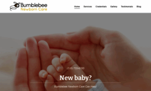 Bumblebeenewborncare.com thumbnail