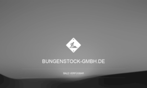 Bungenstock-gmbh.de thumbnail