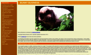 Bunnybusiness.org thumbnail