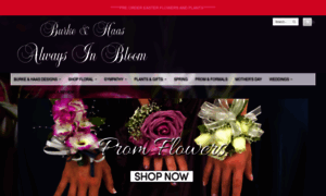 Burkeandhaasalwaysinbloom.com thumbnail