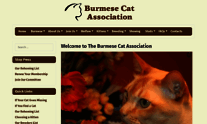 Burmesecatassociation.org thumbnail