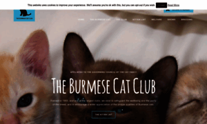 Burmesecatclub.com thumbnail