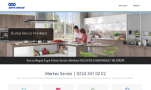 Bursa-servis.com thumbnail