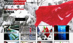 Bursabayrak.org thumbnail