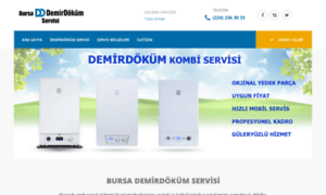 Bursademirdokumservis.com thumbnail