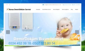 Bursademirdokumservis.net thumbnail