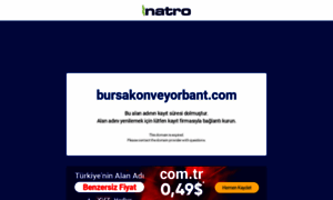 Bursakonveyorbant.com thumbnail