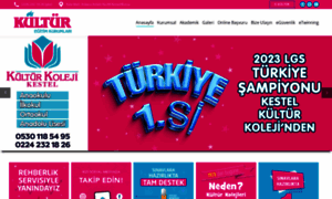 Bursakulturokullari.com thumbnail