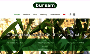 Bursam.de thumbnail