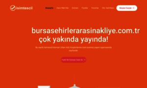 Bursasehirlerarasinakliye.com.tr thumbnail