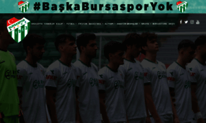 Bursaspor.org.tr thumbnail