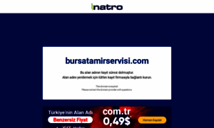 Bursatamirservisi.com thumbnail