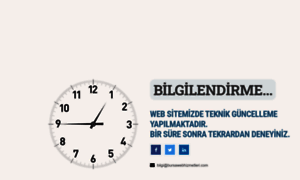 Bursawebhizmetleri.com thumbnail